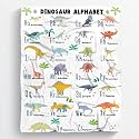 Dinosaur Alphabet Blanket Gifts for Boys Girls, Jurassic Dino Blanket