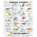 Dinosaur Alphabet Personalized Blanket for Boy,Custom Dinosaur Blanket