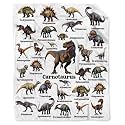 Dinosaur Blanket Gift for Boys,Jurassic Dino Dinosaurs Throw Blanket
