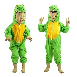 Dinosaur dress for kids Unisex Infant Kids