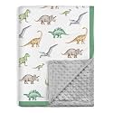 SANDJEST Dinosaurs Blanket for Boys - 30 x 40 Minky Kid Blankets Gift for Kids on Christmas Birthday