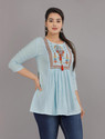 Dinru Casual Embroidered Women Light Blue Top