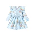 Disney Girls Dress Ruffled Long Sleeve Fall Winter Clothes Baby to Toddler