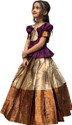 Divastri Girls Lehenga Choli Ethnic Wear Printed