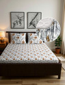 Divine Casa Cotton Double Fitted Elastic 144