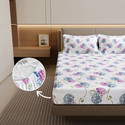 Divine Casa Cotton Double Fitted Elastic 144