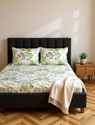 Divine Casa Cotton Single Fitted Elastic 144