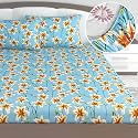 Divine Casa 144 TC Cotton Double Bedsheet with 2 Pillow Covers | Soft Comfortable Bedsheet for Double Bed | Breathable Printed Bedding Set | 222 x 254 cm (Aqua Green