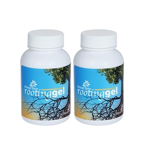 divine tree rooting gel  rooting hormone liquid for plants cuttings  grow root hormone amp root booster for fast propagation  best for hardwood semi-hardwood amp softwood cuttings pack of 2 100ml