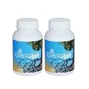 DIVINE TREE Rooting Gel – Rooting Hormone Liquid for Plants Cuttings | Grow Root Hormone & Root Booster for Fast Propagation | Best for Hardwood, Semi-Hardwood & Softwood Cuttings (Pack of 2) 100ml