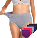 Diving deep Women Hipster Multicolor Panty