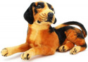 Divyanshi Enterprises Soft toy dog black beagle  - 48 cm