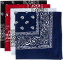 DIVYSIMAR Black, Red, White and Dark Blue paisley 20inchesx20inches cotton handkerchief [Black, Red, White and Dark Blue] Handkerchief