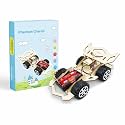 DIY Electromagnetic Swing Kit Wooden Educational Science