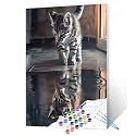 DIY Paint by Numbers for Adult Animal Reflection Black White Kitten or Tiger Canvas Oil Painting Acrylic Watercolor Paint Kits for Beginner Kids Home Bedroom Wall Art Decor 16''W x 20''H（Frameless）