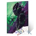DIY Paint by Numbers for Adults Boy‘s Racer Paint by Numbers DIY Painting Acrylic Paint by Numbers Painting Kit Home Wall Living Room Bedroom Decoration, Racing Lovers 16X20 (Frameless)