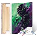 DIY Paint by Numbers for Adults Boy‘s Racer Paint by Numbers DIY Painting Acrylic Paint by Numbers Painting Kit Home Wall Living Room Bedroom Decoration, Racing Lovers 16X20 (DIY Frame)