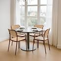 DIYA Rolex Chair for Cafeteria | Durable Nylon Frame Accent Chair