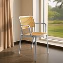 DIYA Rolex Chair for Cafeteria | Durable Nylon Frame Accent Chair