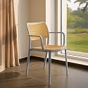 DIYA Rolex Chair for Cafeteria | Durable Nylon Frame Accent Chair