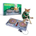 DJ Scratchpad Enrichment Cat and Kitten Toys