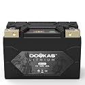 DKL9 YTX9-BS 450A LiFePO4 Motorcycle Lithium Battery, 12V 3Ah Powersports Battery, Compatible Jet Ski, ATV, Scooter, Generator Battery, Snowmobile
