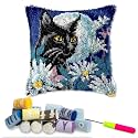 DL-YTG Latch Hook Kits Pillow Black Cat Right Crochet Yarn Cushion Colour Pre-Printed Canvas Rug Needlework DIY Pillowcase Hook and Latch Kit Home Arts Crafts Sofa Decoration 42x42cm/17 X17