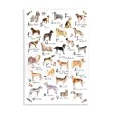 Dog Alphabet Floral Nursery, 13 x 19 Inch Mounted Print on Wall Plaque