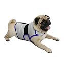 Dog Anxiety Relief Vest - Breathable Calming Coat for Thunderstorms, Travel, Fireworks &amp; Vet Visits (M, Light Grey)