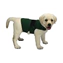 Thunder Jacket for Dogs Anxiety Relief, Dog Anxiety Vest Calming Care for Separation, Thunderstorm, Travel, Fireworks, Vet Visits (Green S)