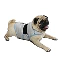 Dog Anxiety Vest, Comfort Dog Anxiety Relief Coat, Breathable Dog Calming Vest for Thunderstorm, Travel, Fireworks, Vet Visits（Dog Calming Vest Light Grey Blue M）, Medium