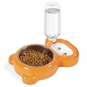 Dog Bowls, Cat Food and Water Bowl Set with Water Dispenser and Stainless Steel Bowl for Cats and Small Dogs - Orange