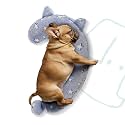 Dog Calming Pillow, Glow in The Dark Dog Put Head on, Soft Question Mark Pillows for Dogs, Kids, Adults, Washable Dog Bed Pillow, Cozy Dog Body Pillow Gifts (M Glow Blue)
