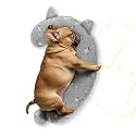 Dog Calming Pillow, Glow in The Dark Dog Put Head on, Soft Question Mark Pillows for Dogs, Kids, Adults, Washable Dog Bed Pillow, Cozy Dog Body Pillow (M Gray)