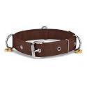 Dog Collar Belt for Small Dogs, Adjustable Stylish Nylon Puppy Dog Neck Collar Belt with Bell for Shih tzu Pug Pomeranian French Bulldog Dachshund Maltese (Brown, Small),42x1.9 cm