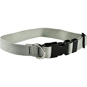 dog collar - colored adjustable pet collars  34 inch wide small silver gray