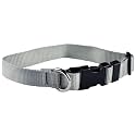 Dog Collar - Colored Adjustable Pet Collars, 1 Inch Wide, Medium, Silver Gray