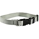 Dog Collar - Colored Adjustable Pet Collars – 3/4 Inch Wide, Small, Silver Gray