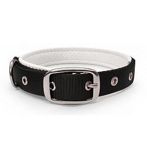 Dog Collar with Padding 01 Inch
