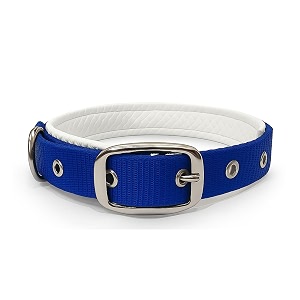 Dog Collar with Padding 01 Inch