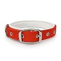 Dog Collar with Padding 01 Inch