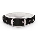Dog Collar with Padding 01 Inch