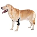 Dog Elbow Brace for Treat ACL CCL, Front Leg Brace Wrap with Metal Spring Strips for Dogs with osteoarthritis, limping from Joint Pain, Keeps The Joint Warm and Stable (L_Right)