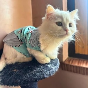 dog frock floral dress dog shirt skirt striped printed t shirts cotton vest pet princess dress dog sundress hawaiian dog dress dog princess dress puppy summer dress for dogs puppy catsxlsky blue