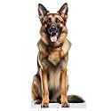 Dog - German Shepherd - Life Size Cardboard Cutout Standup People with Support Standee | Animals -