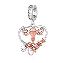 Dog Groomer/Physical Therapist/Optometrist/Obgyn Midwife/Nurse Charm for Bracelet