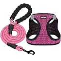 Dog Harness Step-in Breathable Puppy Cat Dog
