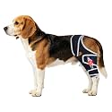 Dog Hind Left or Right Leg for Daily Support and Protect,Size M.