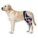 Dog Hind Left or Right Leg for Daily Support and Protect,Size L.