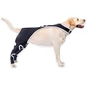 Dog Knee Brace for Back Leg ACL CCL Support with Anti-Slip Harness